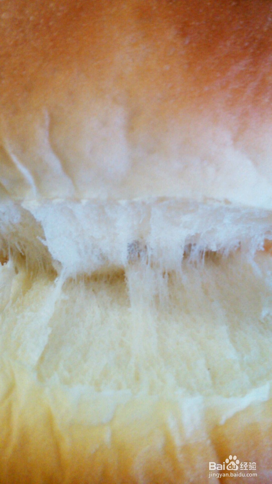 中种北海道土司的做法