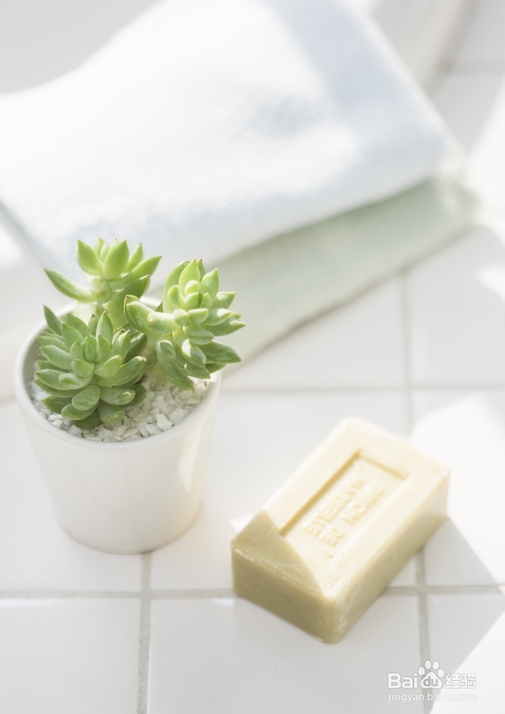 怎样清除地毯灰尘