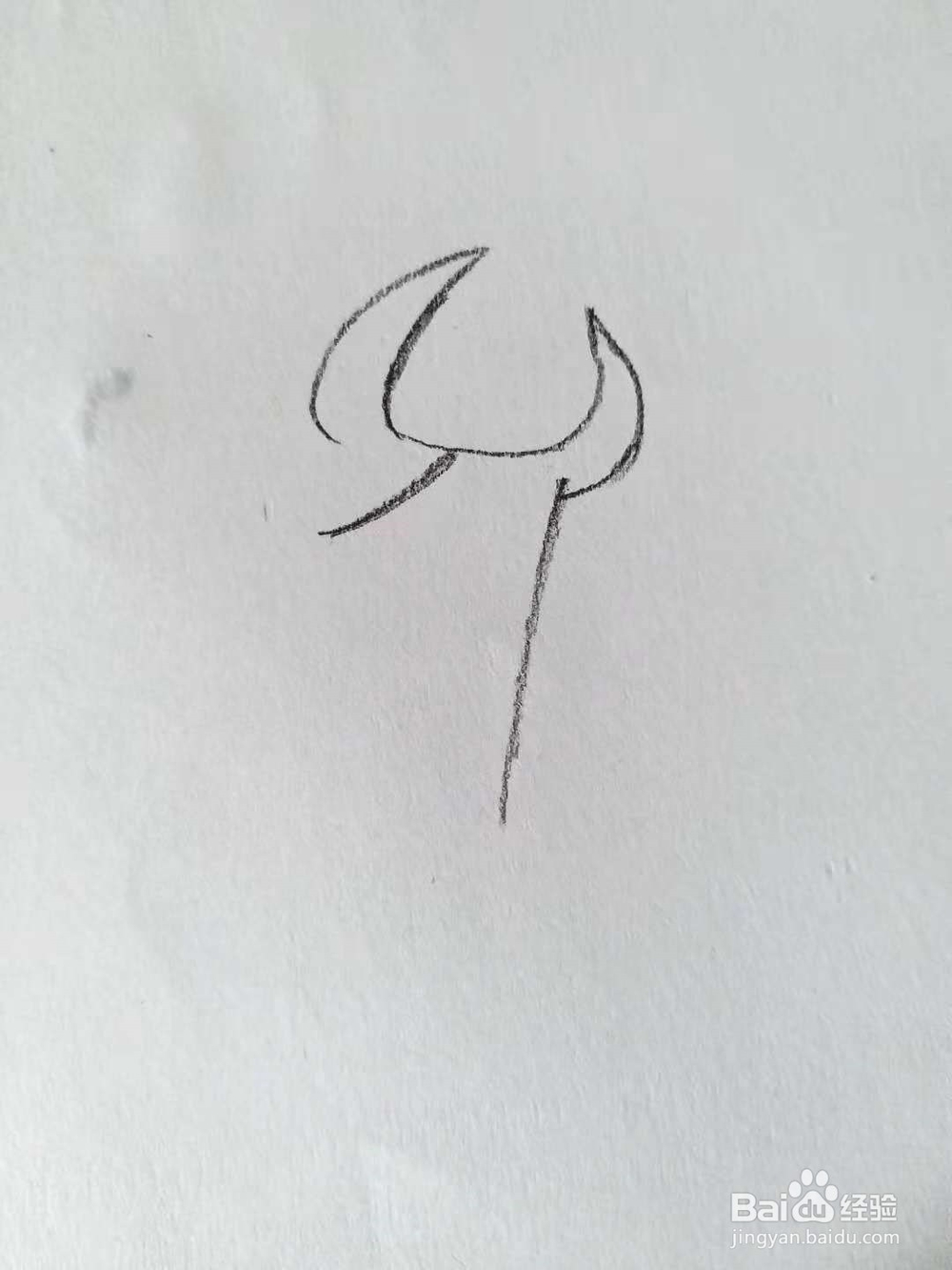 奶牛的简笔画法（三）