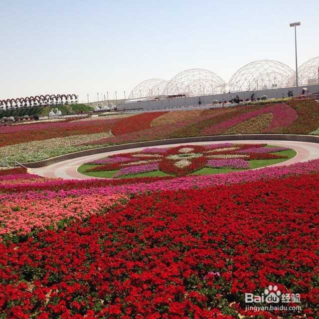 沿途的风景在我的镜头里,更在我心里 迪拜篇