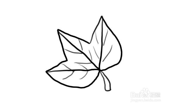 植物简笔画，怎么画枫叶