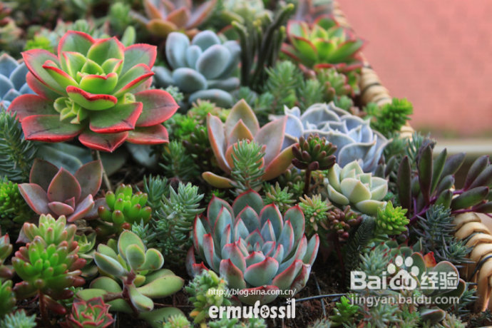 2012年6月23日 记录