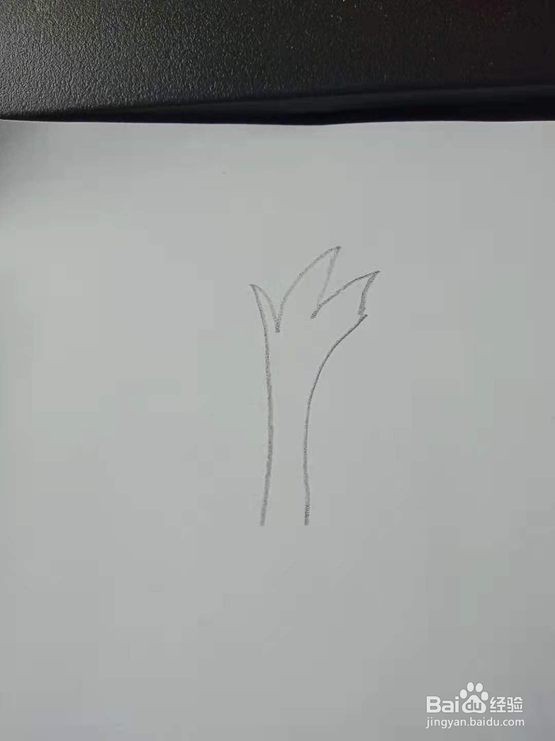 大树的创意简笔画