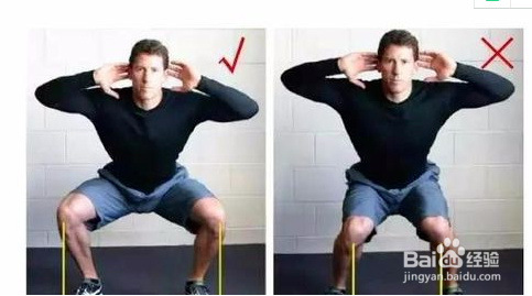 徒手深蹲的动作