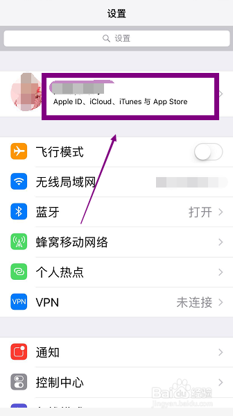 现在苹果怎么安装skype