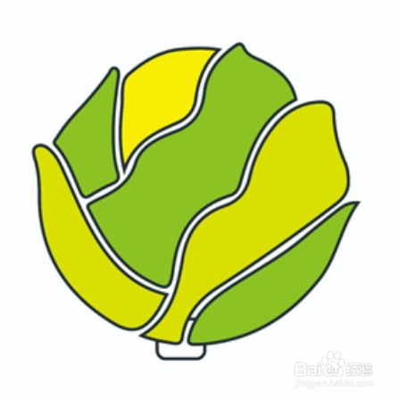 美味可口卷心菜简笔画
