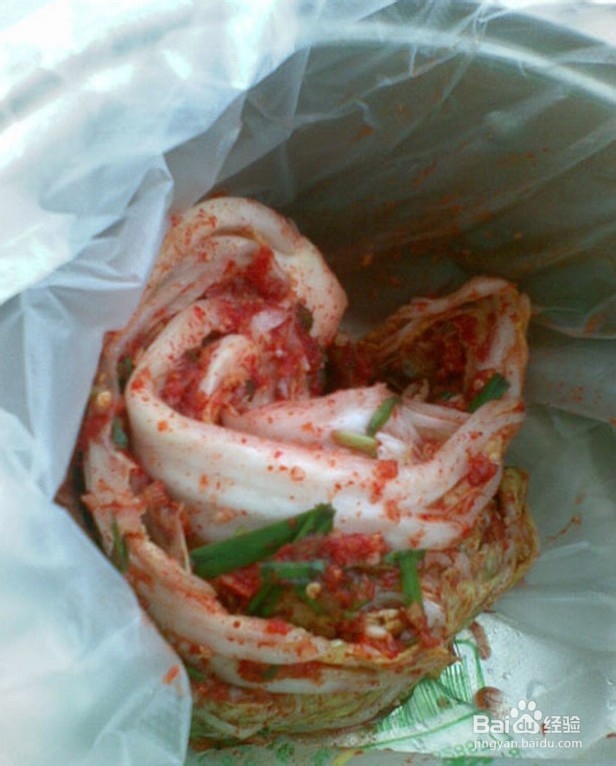 美食5300---韩国泡菜