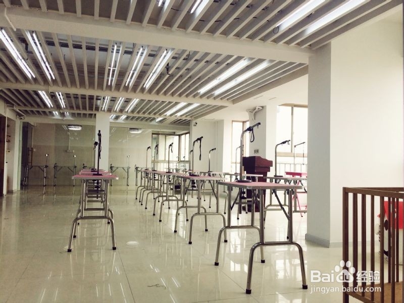 怎样挑选好的宠物美容学校？