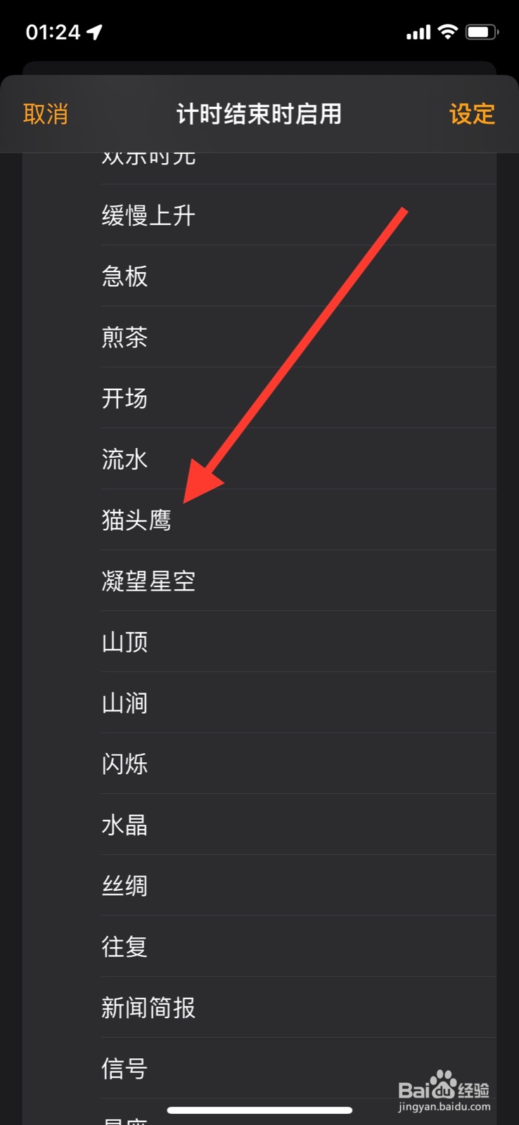iOS系统计时器结束播放“猫头鹰”铃声提醒