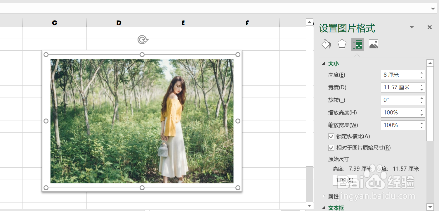 EXCEL中如何使插入的图片成比例缩放