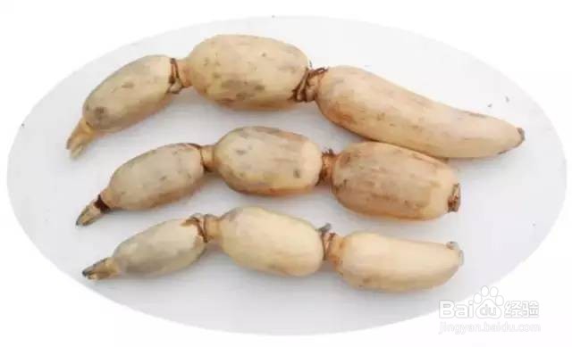 你知道什么菜能把吸进肺里的雾霾清理出来吗？