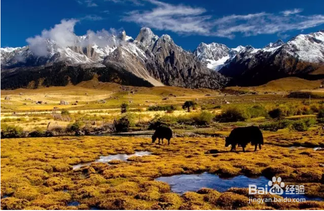 领略川藏线上的美丽风景