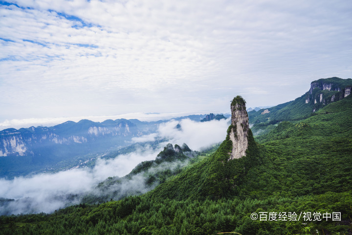 奉节到三峡之巅怎么坐车