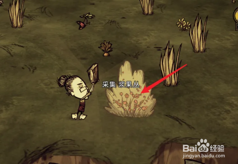 饥荒老奶奶怎么催熟