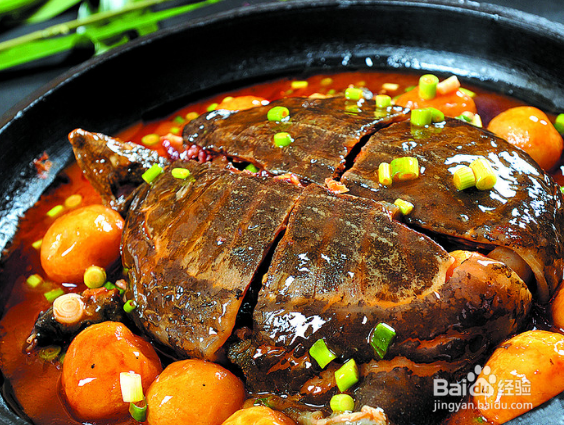 常吃甲鱼的好处和禁忌