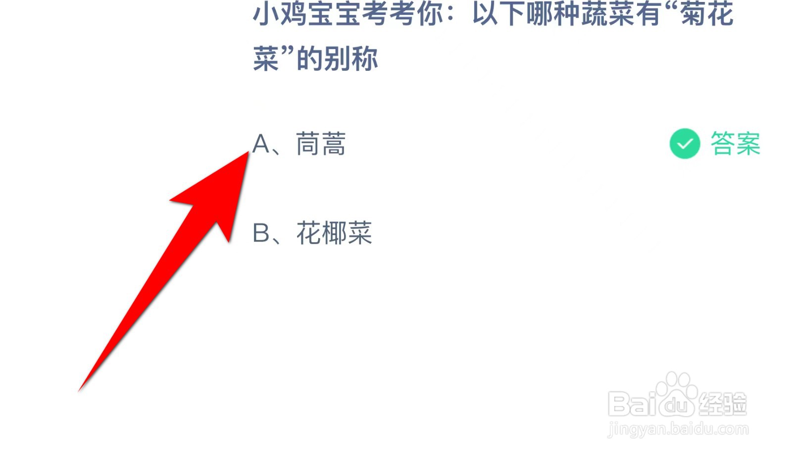 蚂蚁庄园：以下哪种蔬菜有“菊花菜”的别称？