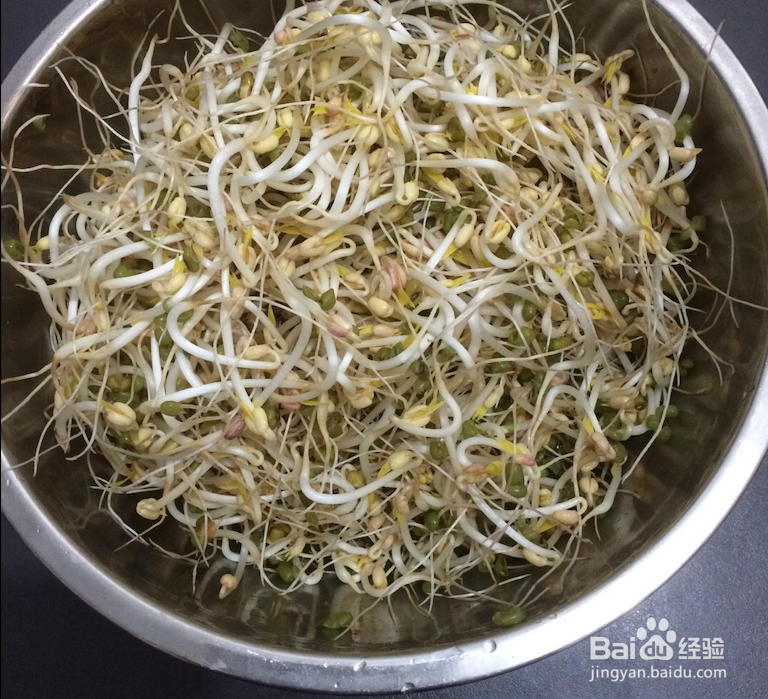 自己在家种豆芽,如何用1个平底锅,随吃随种
