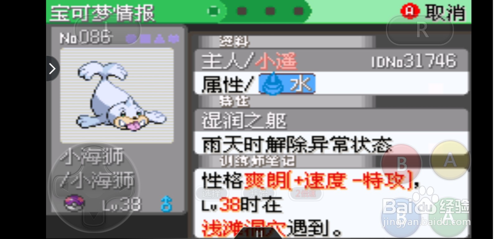 口袋妖怪雨天队介绍