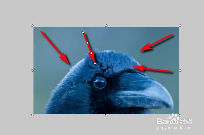 FSCapture怎么在截图上打箭头?