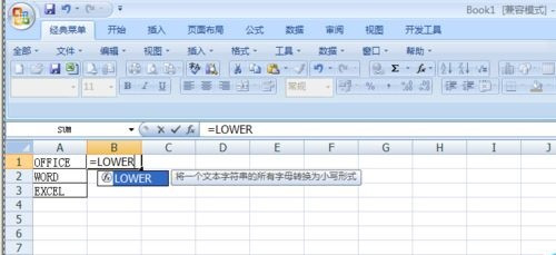 在Excel表格中如何使用Lower函数