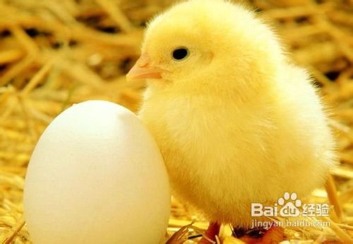 怎么能快速减肥.