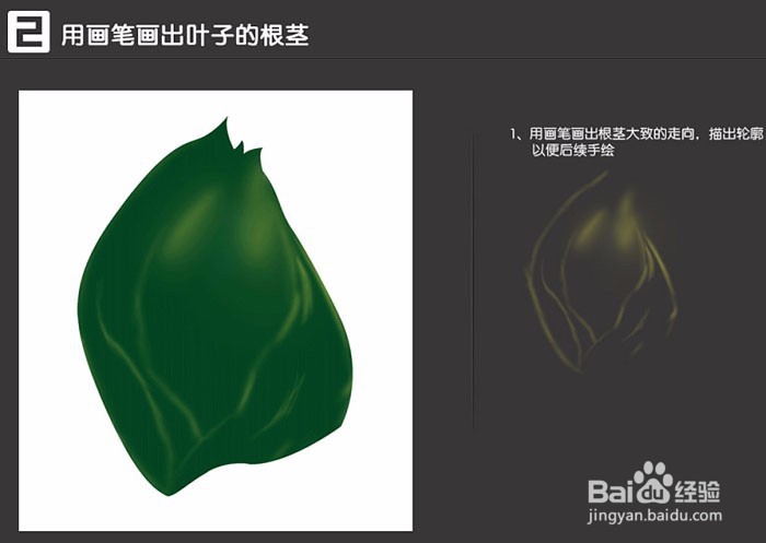 绿色植物肤品主题海报PS制作操作步骤