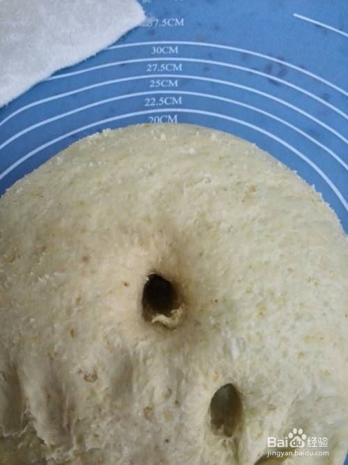 奶香燕麦包的做法