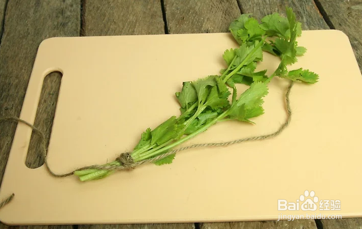 如何在室温下风干并储存香菜