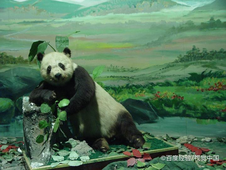 如何保护自然资源