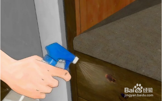 厨房有蟑螂怎么办能除根