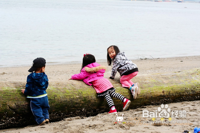 拾海的孩子&亲亲小动物(组图)