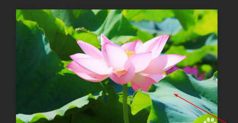 Photoshop如何将彩色照片变成黑白照片