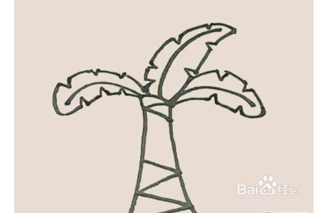 简笔画之芭蕉树