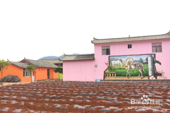 想去丽江旅游，有什么旅游攻略呢？