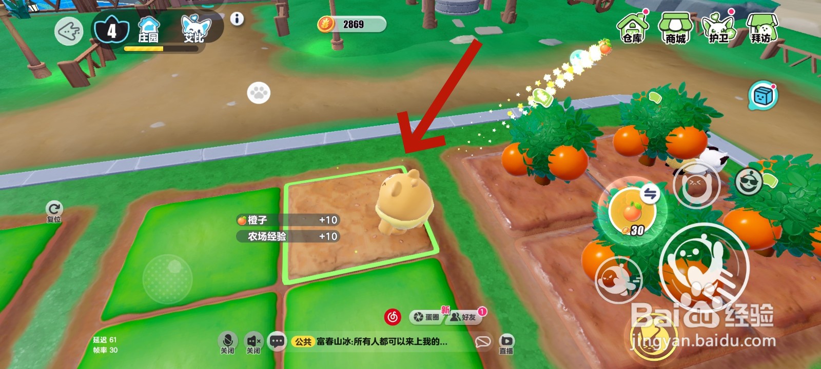 蛋仔派对游戏中摘橙子的教程