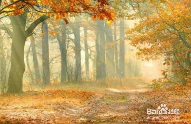 生吃茄子有什么好处,茄子怎么吃健康