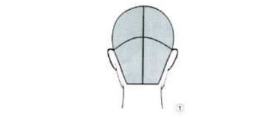 初学理发入门技巧