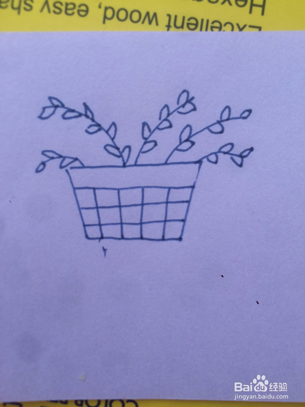 怎么教宝宝简单的画一盆植物