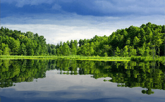 怎样实施高效课堂?