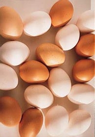 孩子补脑必备的7种食物