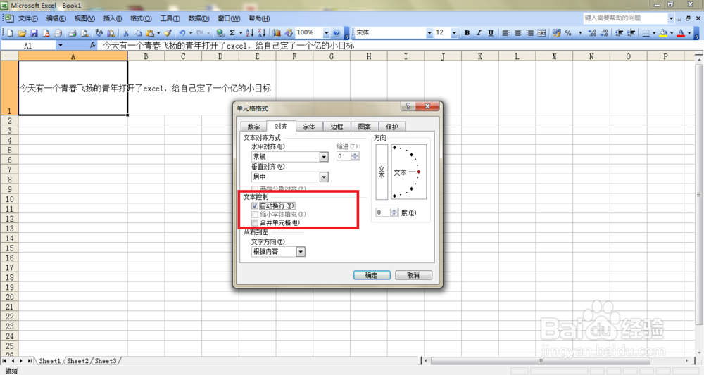 Excel表格里怎么输入两行文字