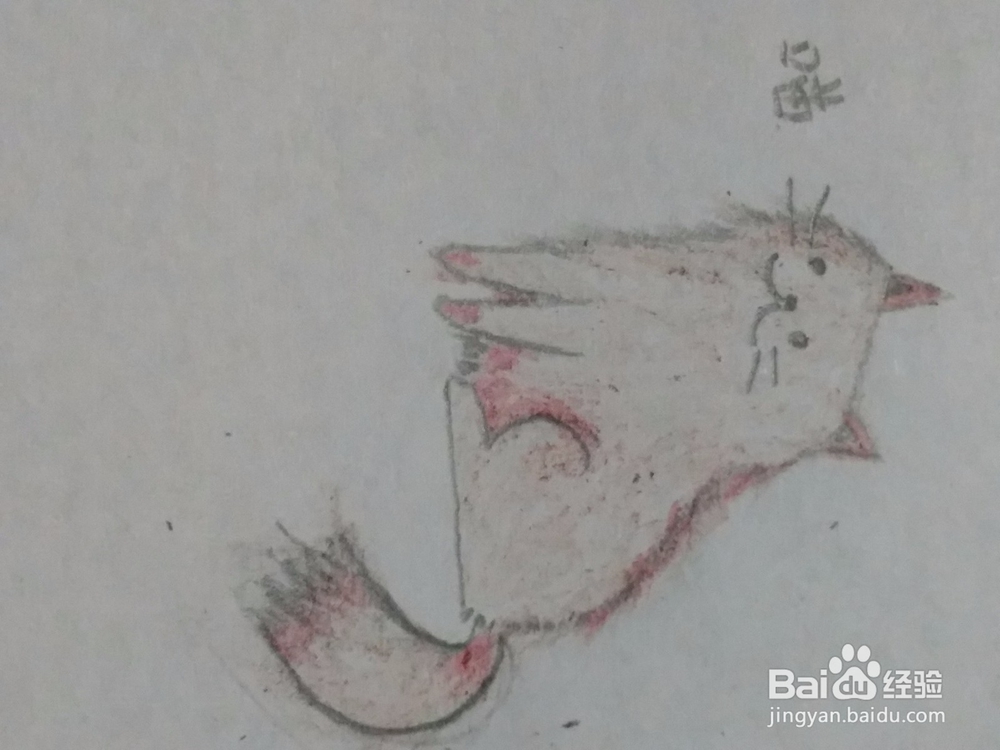 <b>宠物波斯猫 彩铅画 详细绘画步骤教程</b>
