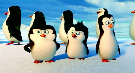 马达加斯加岛为什么有企鹅！