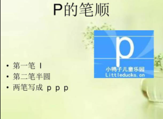 p怎么读