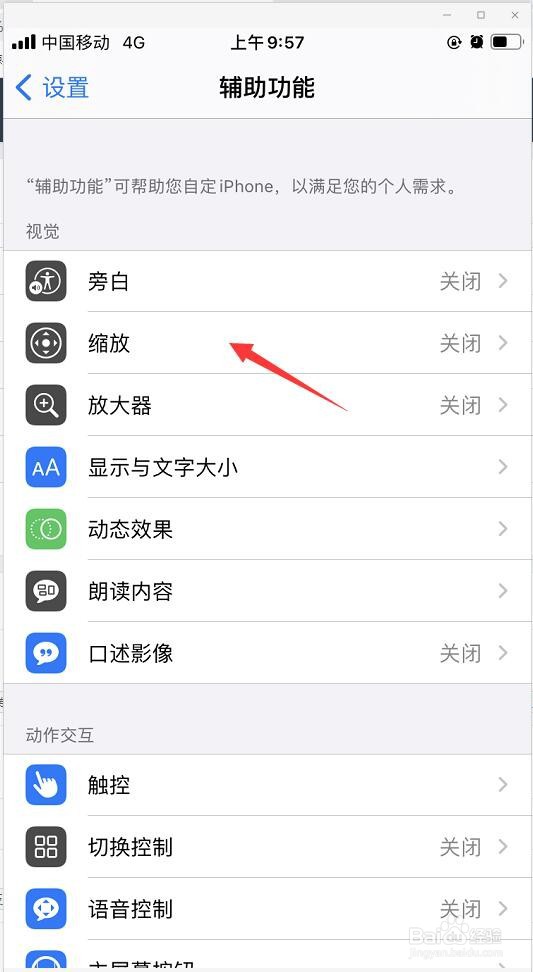 苹果手机上如何设置缩放区域
