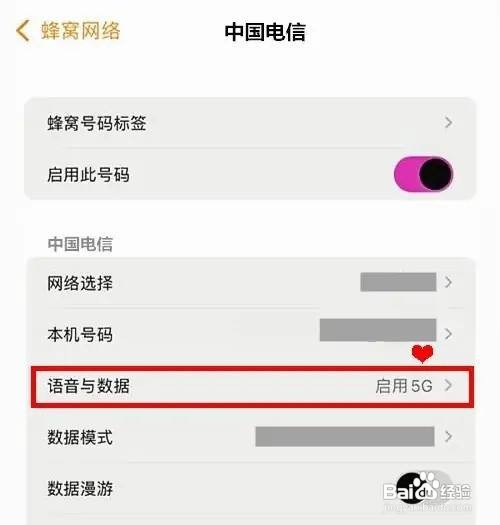 iphone12如何开启自动5G呢