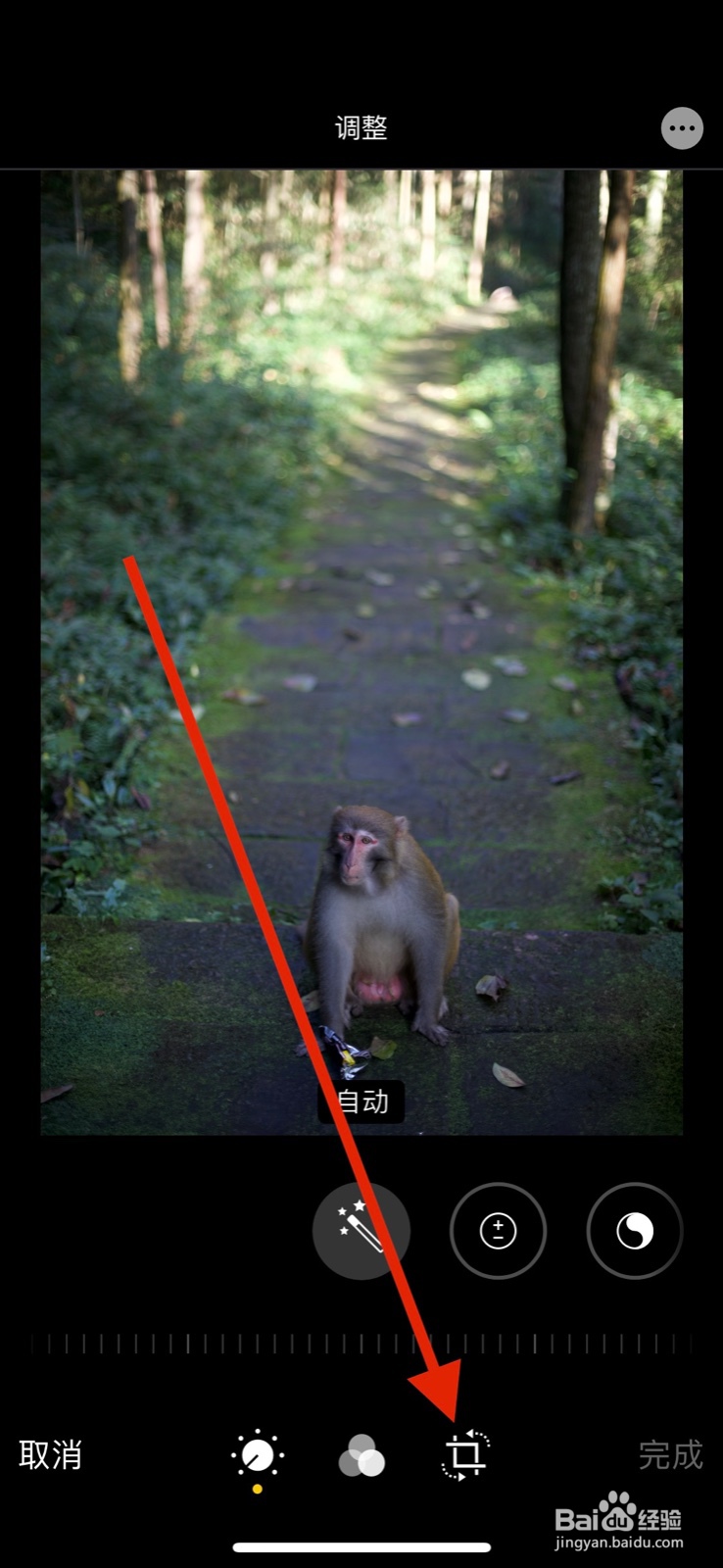 iPhone照片如何裁剪