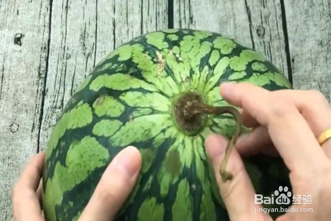 如何挑到甜西瓜？
