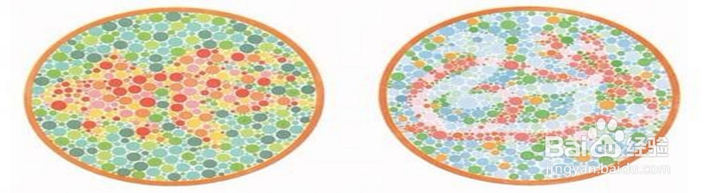 色弱换证体检怎么办