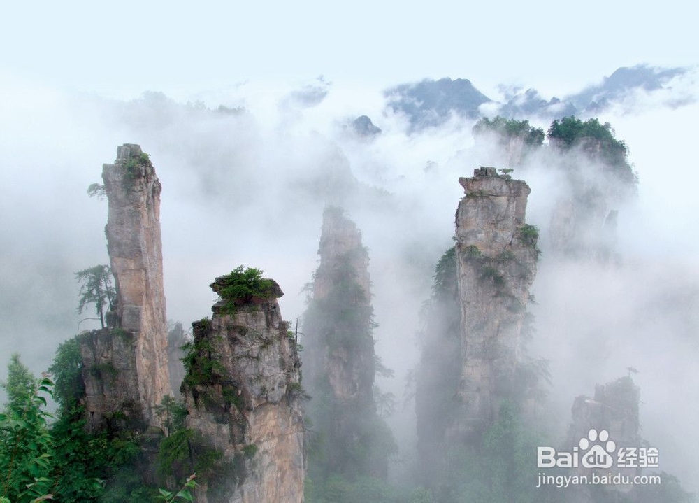 张家界暑假旅游攻略